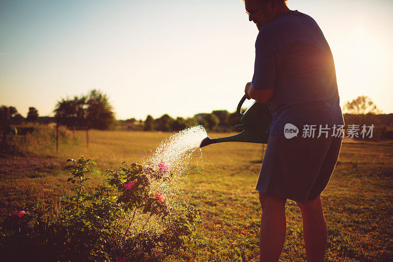 友好的人在干燥炎热的夏天给花浇水