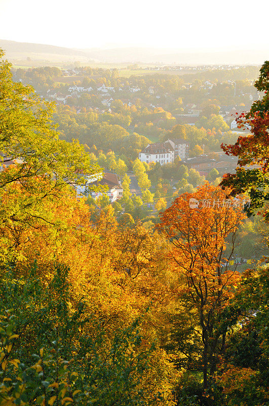 德国黑森州富尔达的弗劳恩伯格山上秋天的黄树