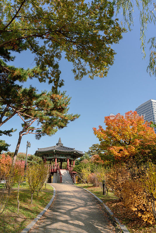 韩国首尔，汝矣岛公园秋叶和传统凉亭