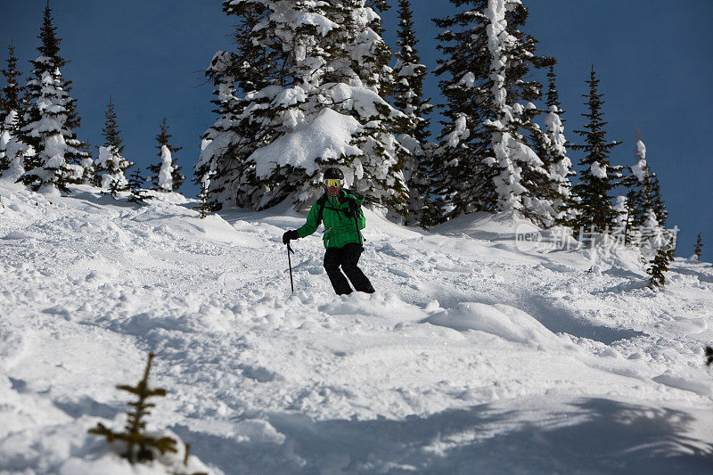 专业成熟的女子滑雪者在树木和雪峰之间。科罗拉多州的汽船滑雪胜地。