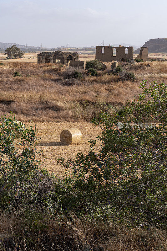 远处长满杂草的教堂废墟和干旱地区的土坯民居，在旱地中有单一的圆形包