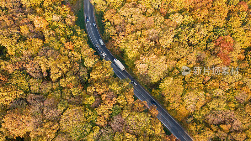 森林旁繁忙的道路