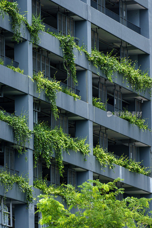 外部不确定的现代建筑立面与绿色垂直花园走廊上可持续建筑商业设计理念。