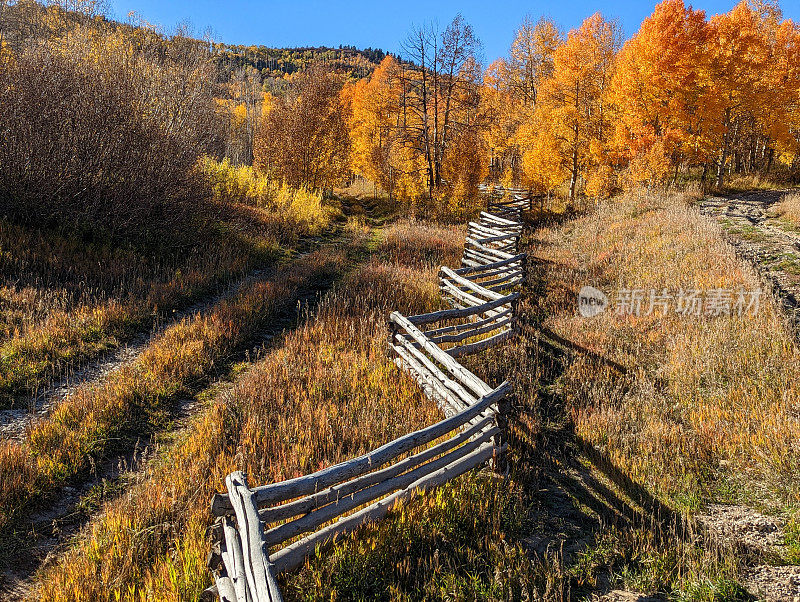 在犹他州锡安国家公园附近的Kolob水库上，深秋的金色白杨林中的山地牧场和牧场围栏