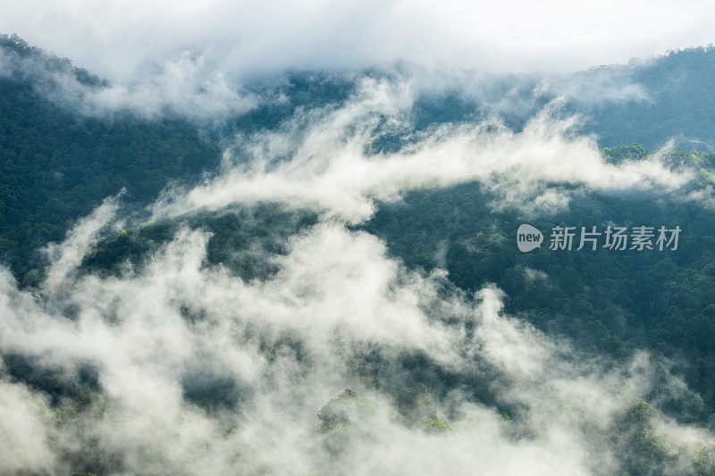 山岭和云在农村丛林丛林