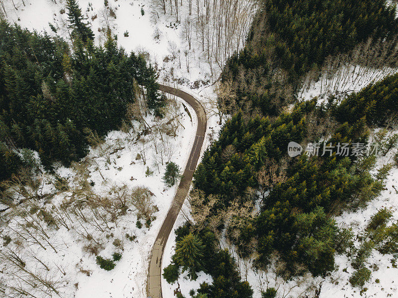 森林中道路的鸟瞰图，两侧有雪