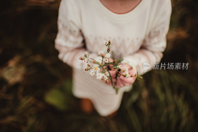 小女孩拿着白色的野花