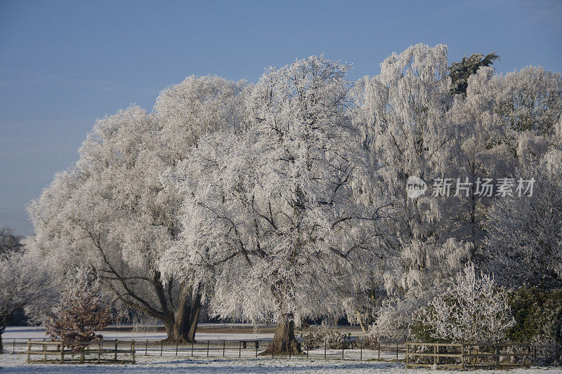 斯塔福德郡坎诺克蔡斯的一个霜冻冬日