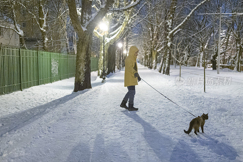 冬天的傍晚，主人牵着猫走在街上。