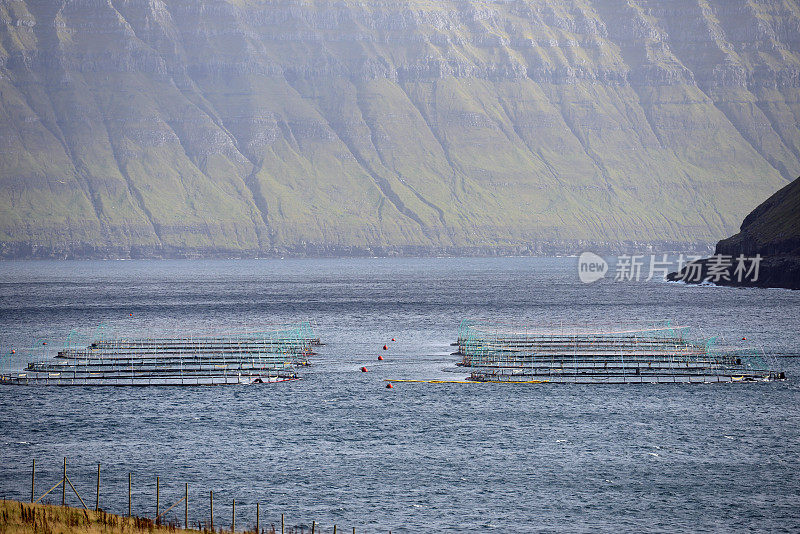 法罗群岛