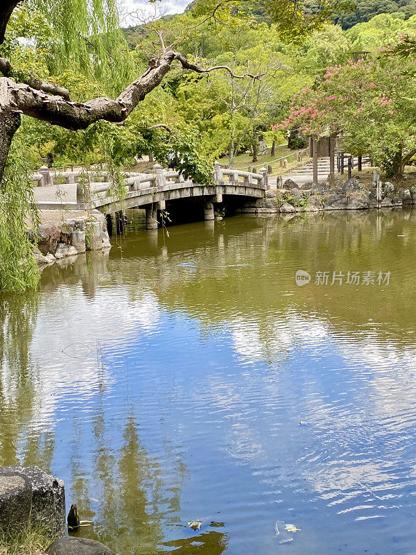 日本-京都-丸山公园