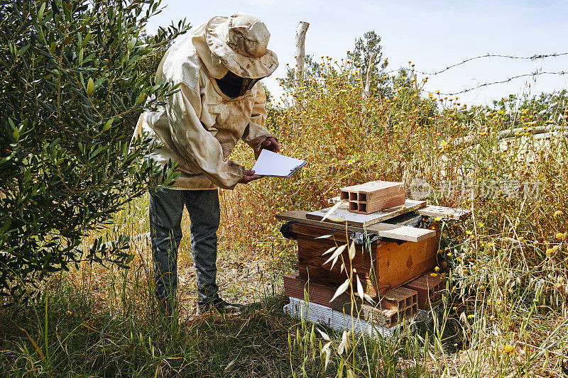 养蜂人拿着一张空的剪贴纸和蜂箱在养蜂场和蜜蜂一起工作。养蜂人在养蜂场
