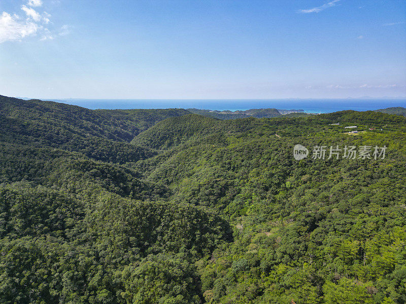 日本冲绳延巴鲁森林鸟瞰图