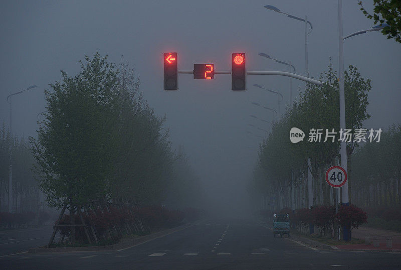 晨雾中的林荫大道