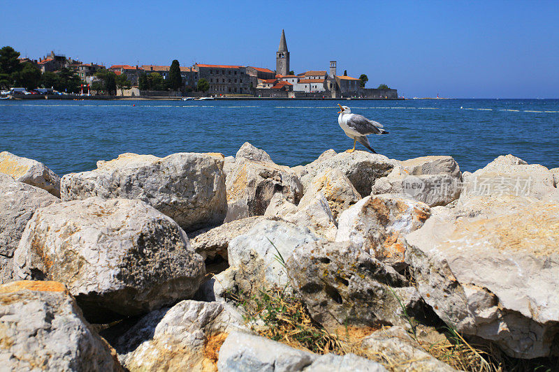 Poreč，克罗地亚亚得里亚海伊斯特拉