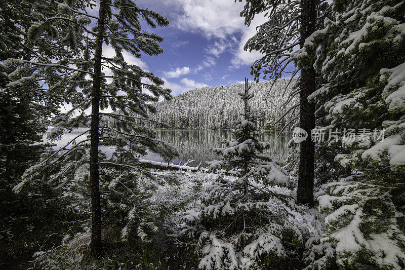 六月雪后的黄石风景