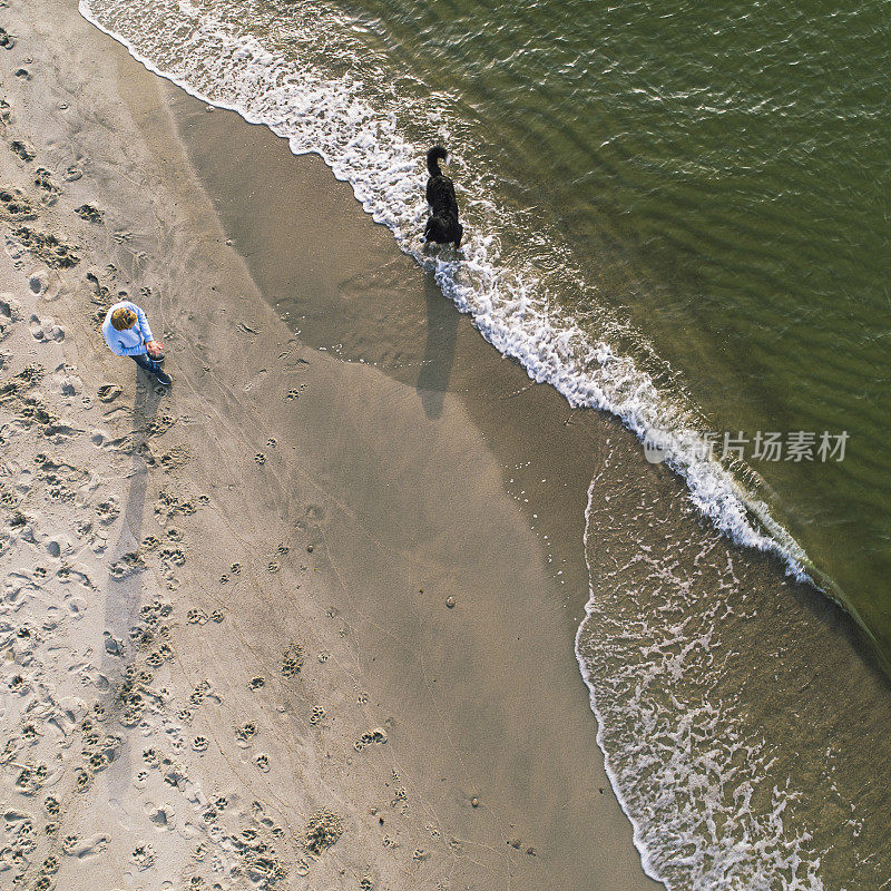 55岁的成熟、活跃、迷人的女人和她的大狗泽嫩猎犬在阳光明媚的秋日波罗的海的沙滩上玩耍。天线倾角的照片。