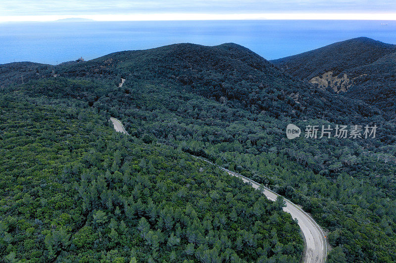 鸟瞰图的道路在森林朝向大海，托斯卡纳，意大利