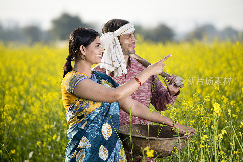 一对印度农村夫妇在油菜地里