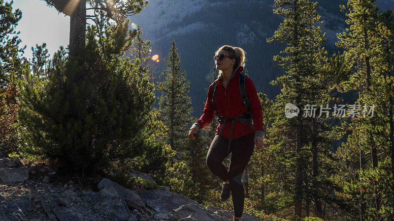 年轻的女性徒步旅行者穿过森林爬山