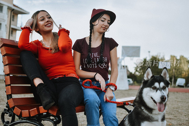 年轻女人和一只狗