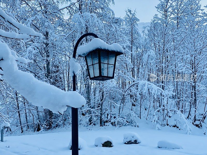 路灯被雪覆盖