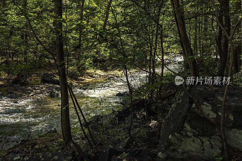 在宾夕法尼亚州切斯特县的Hibernia公园散步时，我们发现了这条小溪，它的急流穿过周围的森林。