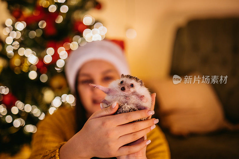 圣诞节的女人和她的刺猬