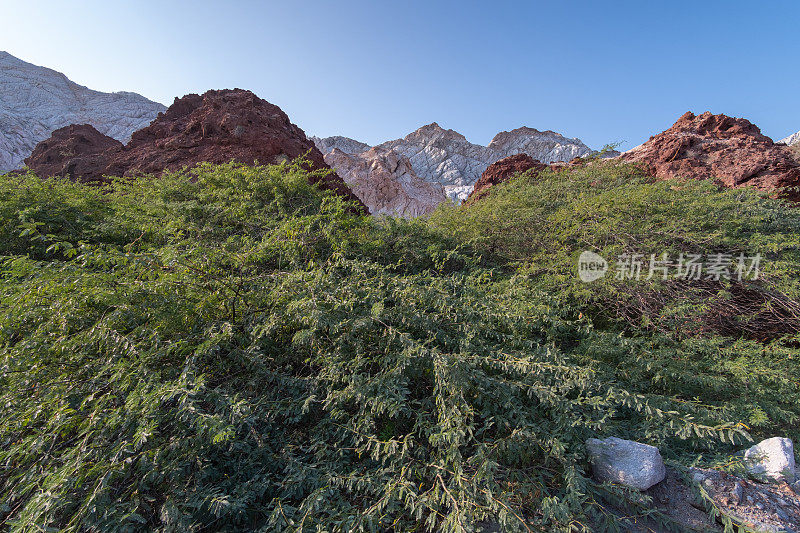 霍尔木兹海峡岛,伊朗