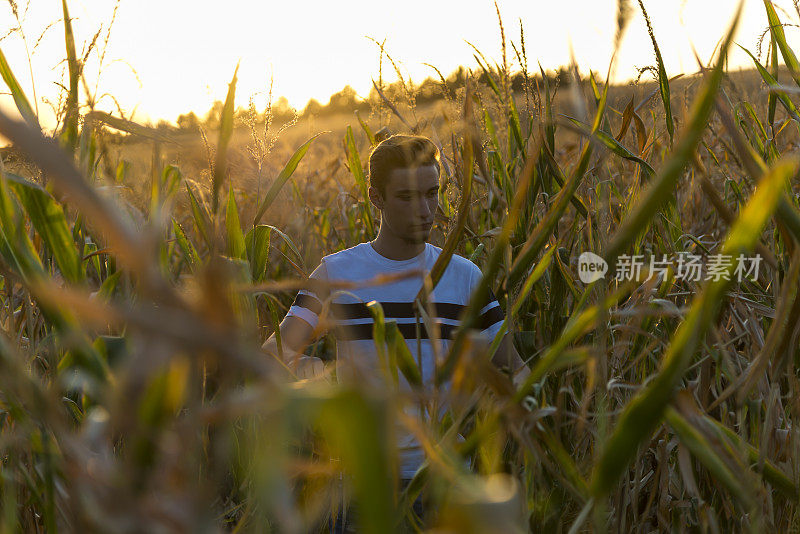 一位年轻的农民正在视察玉米种植园