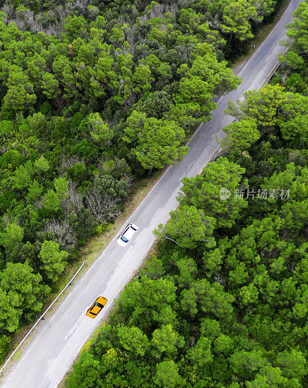 汽车在穿过森林的乡村道路上的鸟瞰图。