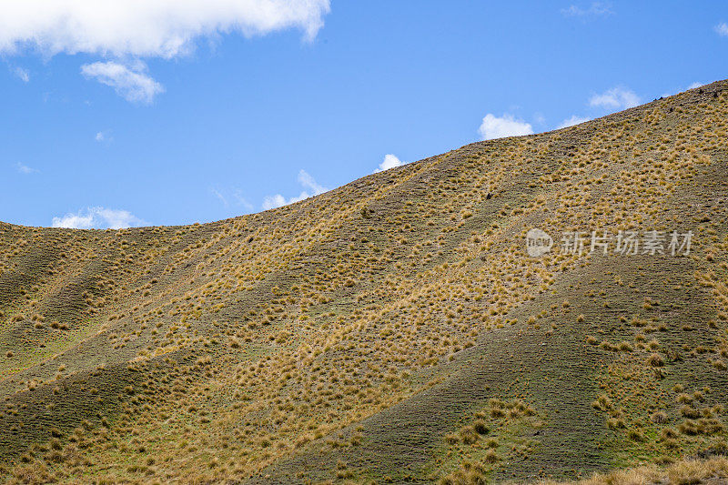 新西兰南岛林迪斯山口干燥干燥的山坡