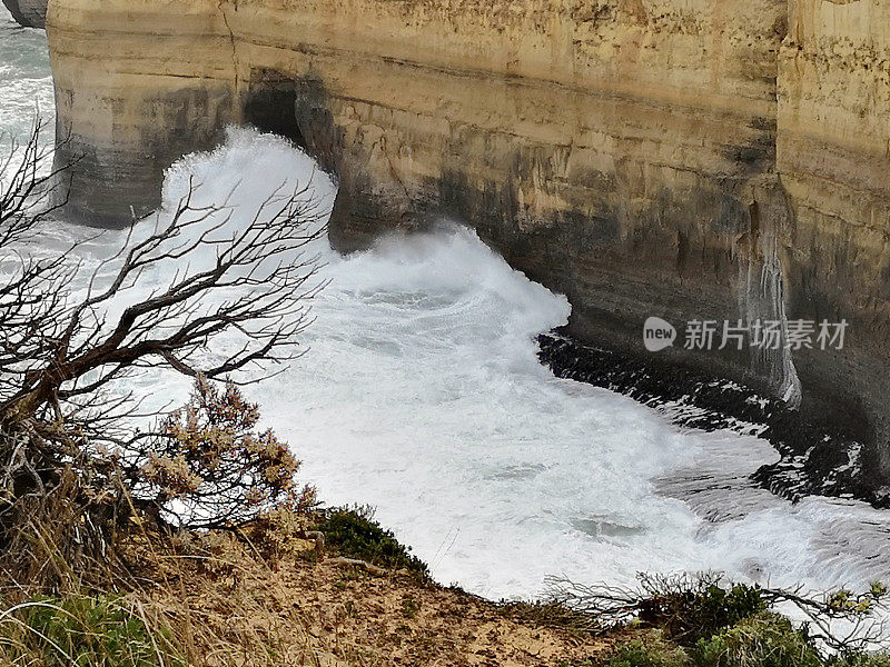 阿德湖峡谷，坎贝尔港国家公园，维多利亚