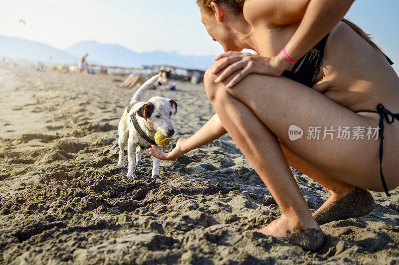 模糊的海景。一个女人在沙滩上遛着一只杰克罗素犬。宠物。设计基本背景