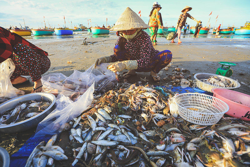 越南梅奈的一个小渔村