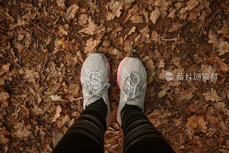直接俯瞰秋天的森林里的鞋子