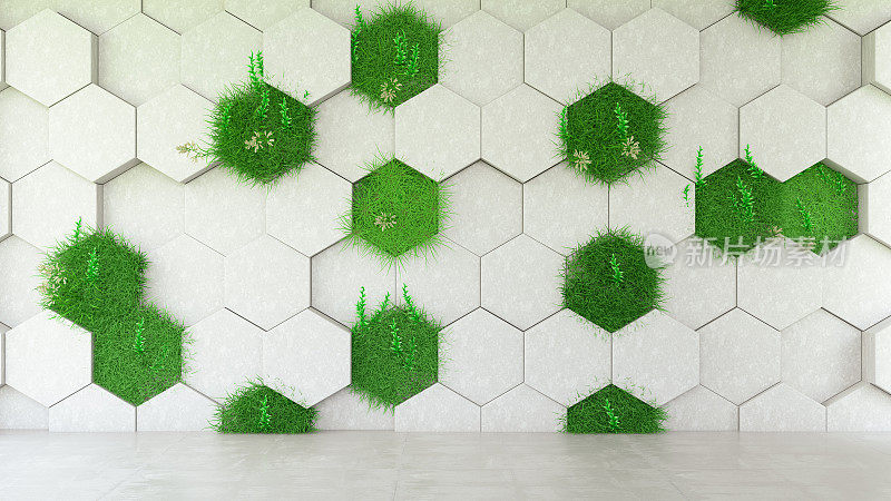 绿色六角形墙与草