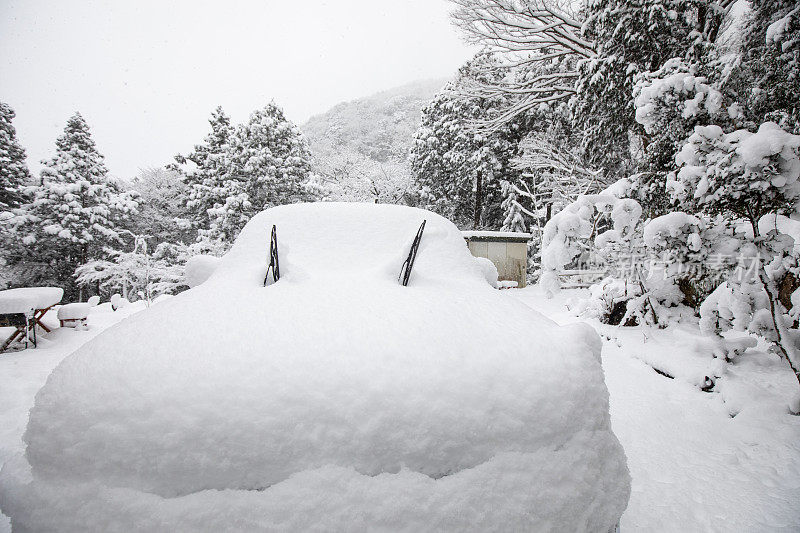 汽车完全被雪覆盖了