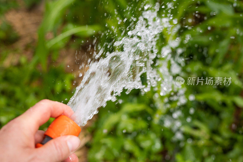 用手持水管给花园浇水