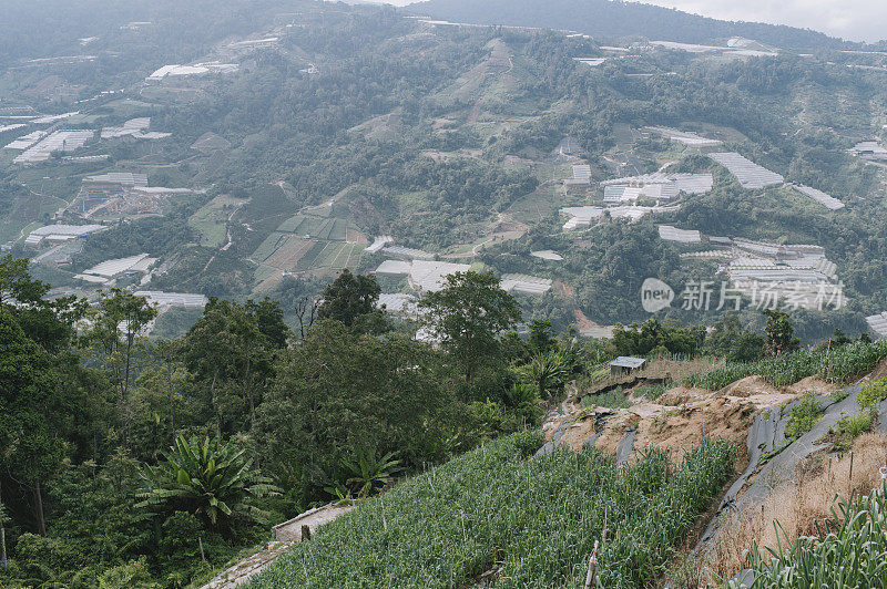 卡梅隆高地白天与农场和过度耕种的土地