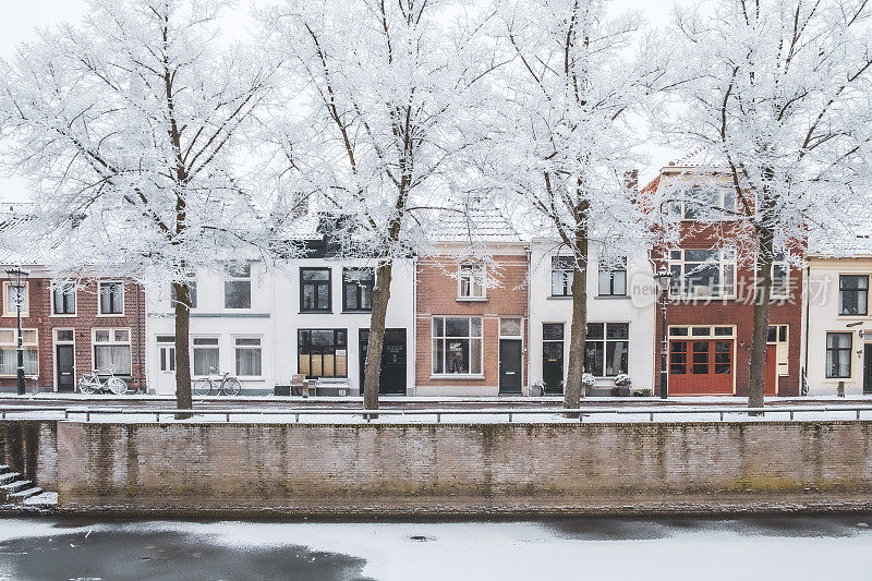 位于市中心Burgwal运河旁的坎彭市的典型荷兰房屋，树木被霜冻覆盖