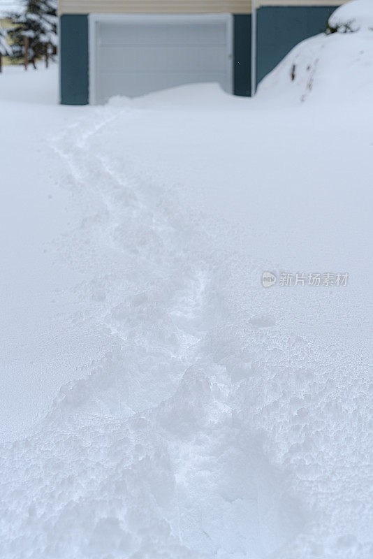 之后。一场大雪过后，居民的房子被雪覆盖了。