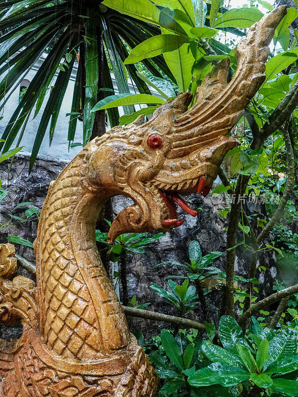 近距离观看镀金龙头雕像在福斯山城市公园，琅勃拉邦，老挝。