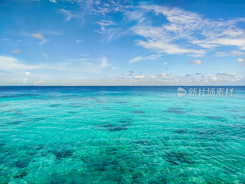 热带海洋背景