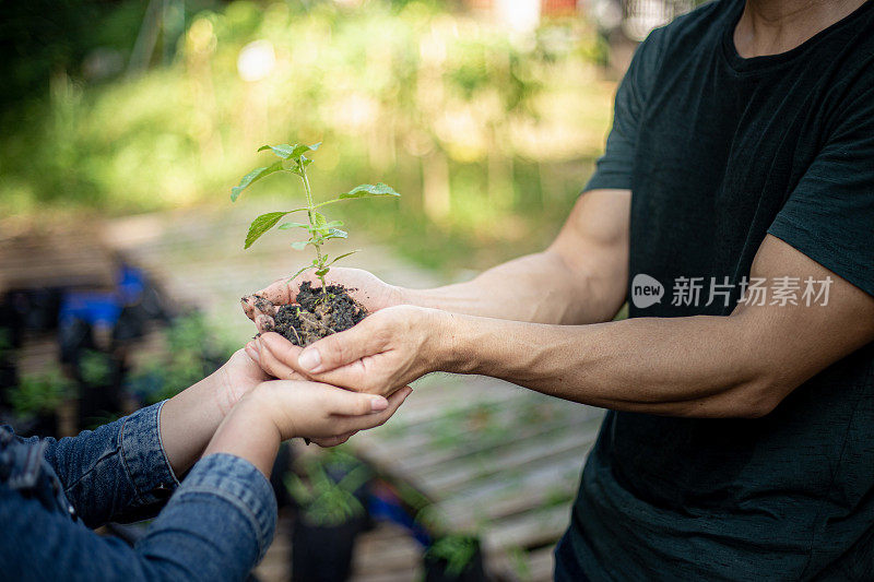 特写，大人和小孩抱着一株正在生长的植物。