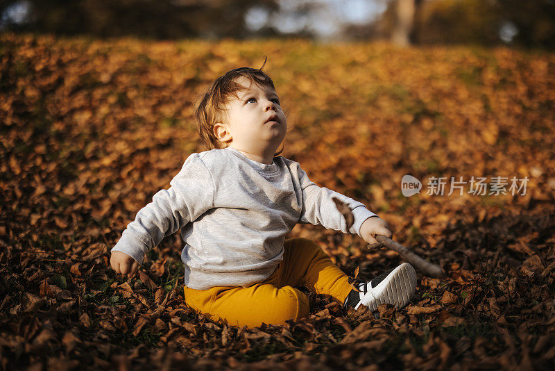 小男孩在秋天的公园里享受阳光灿烂的一天