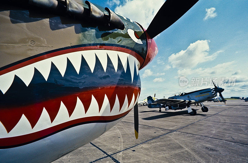 P-40战鹰机头，背景是P-51野马出租