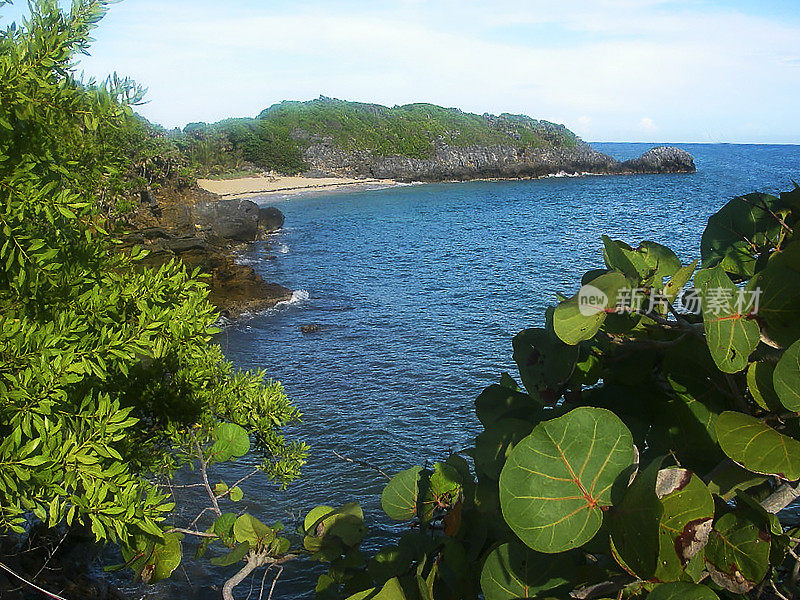 帕亚湾北岸罗阿坦湾群岛洪都拉斯