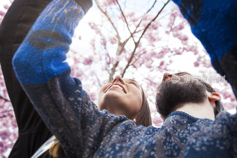 一对年轻夫妇在一棵美丽的樱桃树下相爱