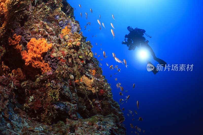 水肺潜水-水下摄影师